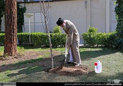 بیانات رهبر معظم انقلاب پس از کاشت نهال در روز درختکاری