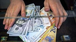 سیگنال حبابها به بازار ارز و سکه سیگنال حبابها به بازار ارز و سکه