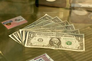 ارز چندنرخی بزرگ‌ترین مانع شفافیت اقتصادی و ضربه‌زننده به تولید است