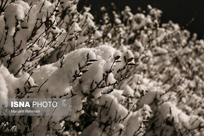 کاهش محسوس دما در اغلب مناطق کشور / ورود سامانه بارشی جدید از جمعه