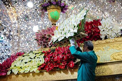عکس/ گل‌آرایی ضریح سیدالشهدا برای ولادت انوار کربلا