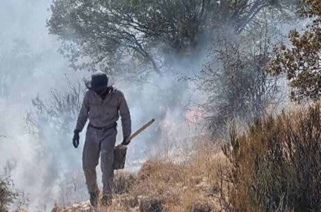 آتشسوزیهای گسترده در جنگلها؛ هشدار برای حفظ طبیعت آتشسوزیهای گسترده در جنگلها؛ هشدار برای حفظ طبیعت