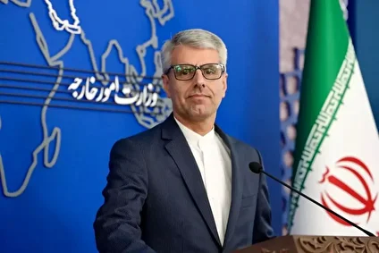 بقائی: مقامات آلمانی از ادبیات هیتلر استفاده میکنند/ قانون مجلس لازم الاجرا است