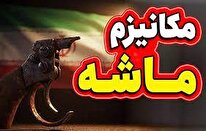 موضع اروپا در جنگ چگونه بود؟