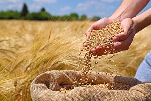 اقدامات اصلاحی برای تراز تجاری منفی اقدامات اصلاحی برای تراز تجاری منفی