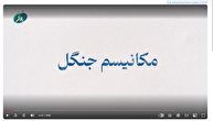 شاخص شماره ۶۳ / مکانیسم جنگل