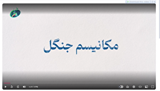شاخص شماره ۶۳ / مکانیسم جنگل