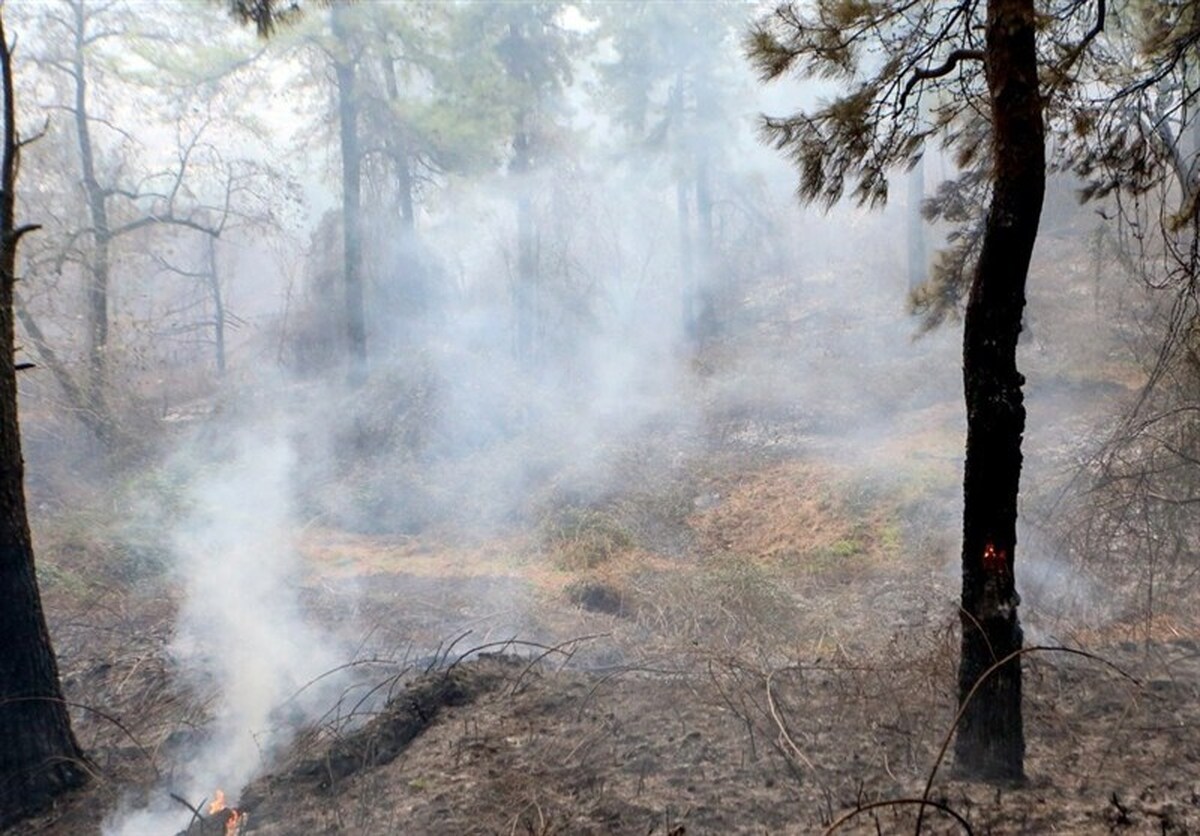 تازه‌ترین اخبار از آتش‌سوزی جنگل الیت/مهار ۸۰ درصد آتش جنگل/ آتش در پایین‌دست شعله‌ور است